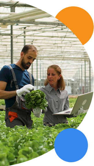 agriculture loan